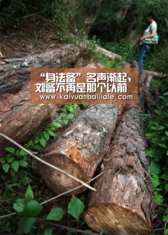 “身法备”名声渐起,刘备不再是那个以前的刘备了!‘开元百家乐’(图1) 开元百家乐