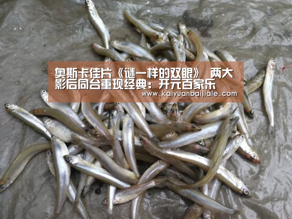 开元百家乐