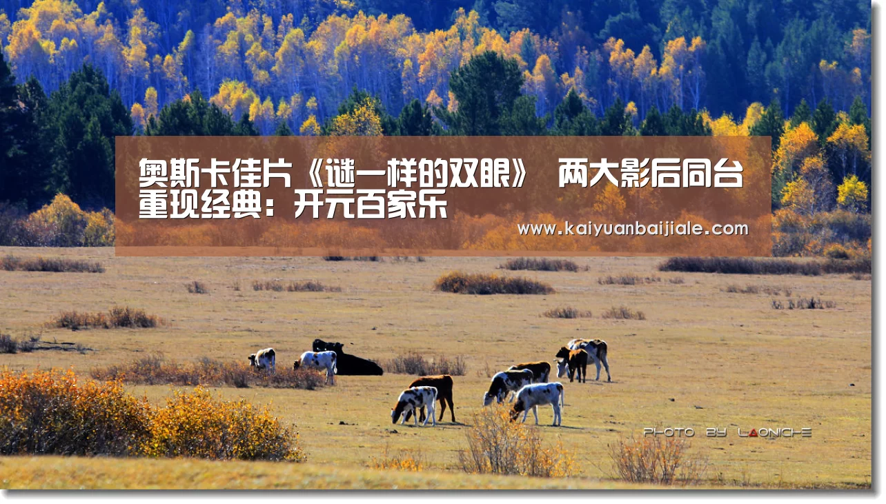 开元百家乐