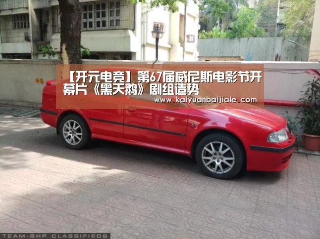 【开元电竞】第67届威尼斯电影节开幕片《黑天鹅》剧组造势(图1) 开元APP