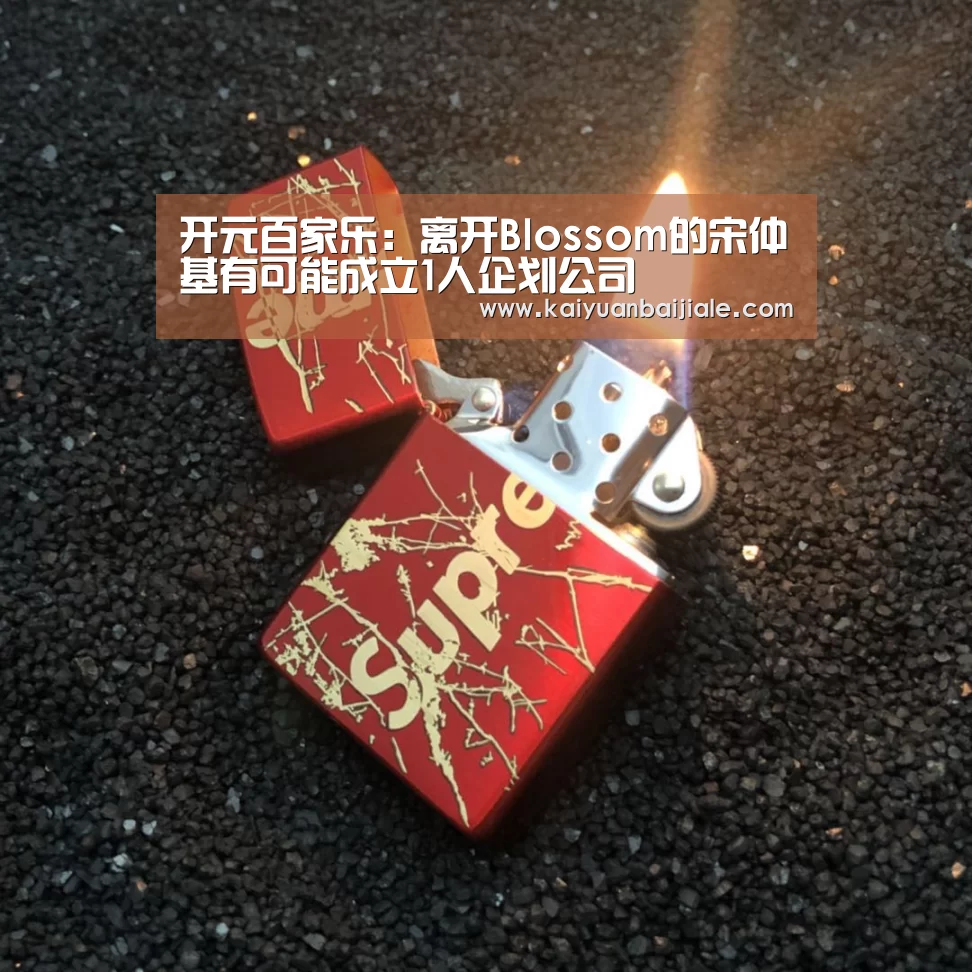开元百家乐:离开Blossom的宋仲基有可能成立1人企划公司(图4) 开元官方
