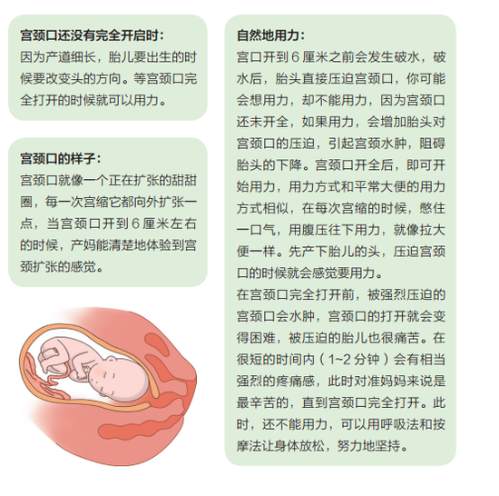 开元APP