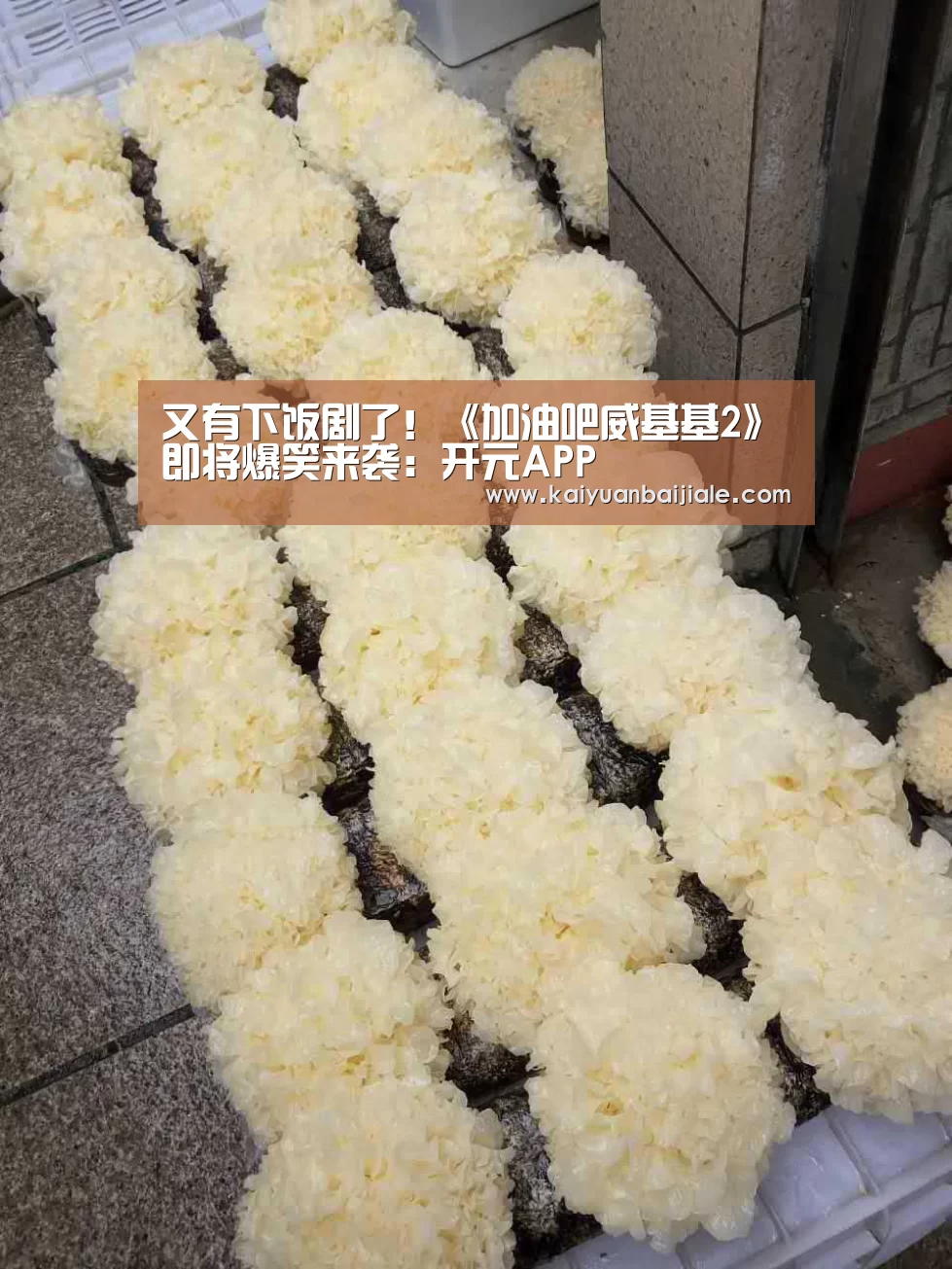 开元官方