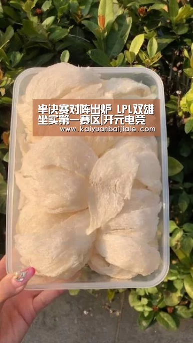 半决赛对阵出炉 LPL双雄坐实第一赛区|开元电竞(图3) 开元官方