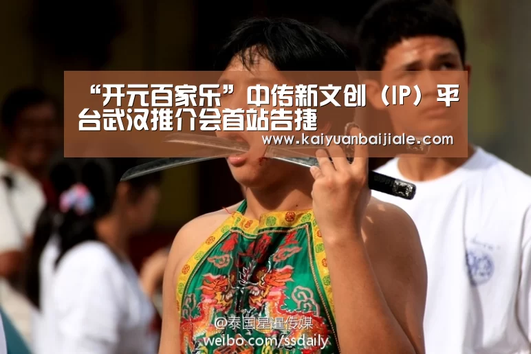 “开元百家乐”中传新文创(IP)平台武汉推介会首站告捷(图1) 开元官方